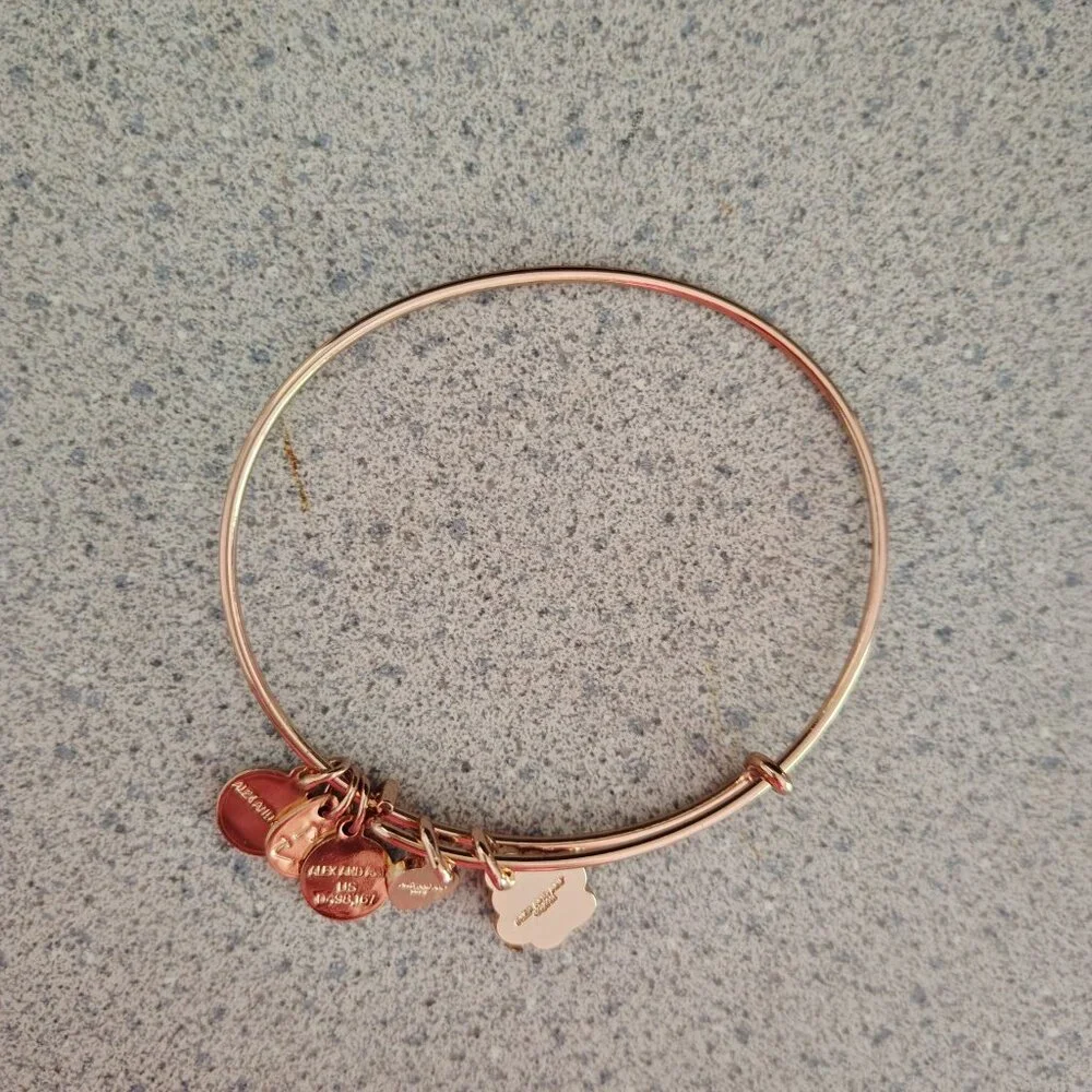 NWOT Alex and Ani Rose Gold Cat Dog Paw Heart Crystal Charm Bangle 157